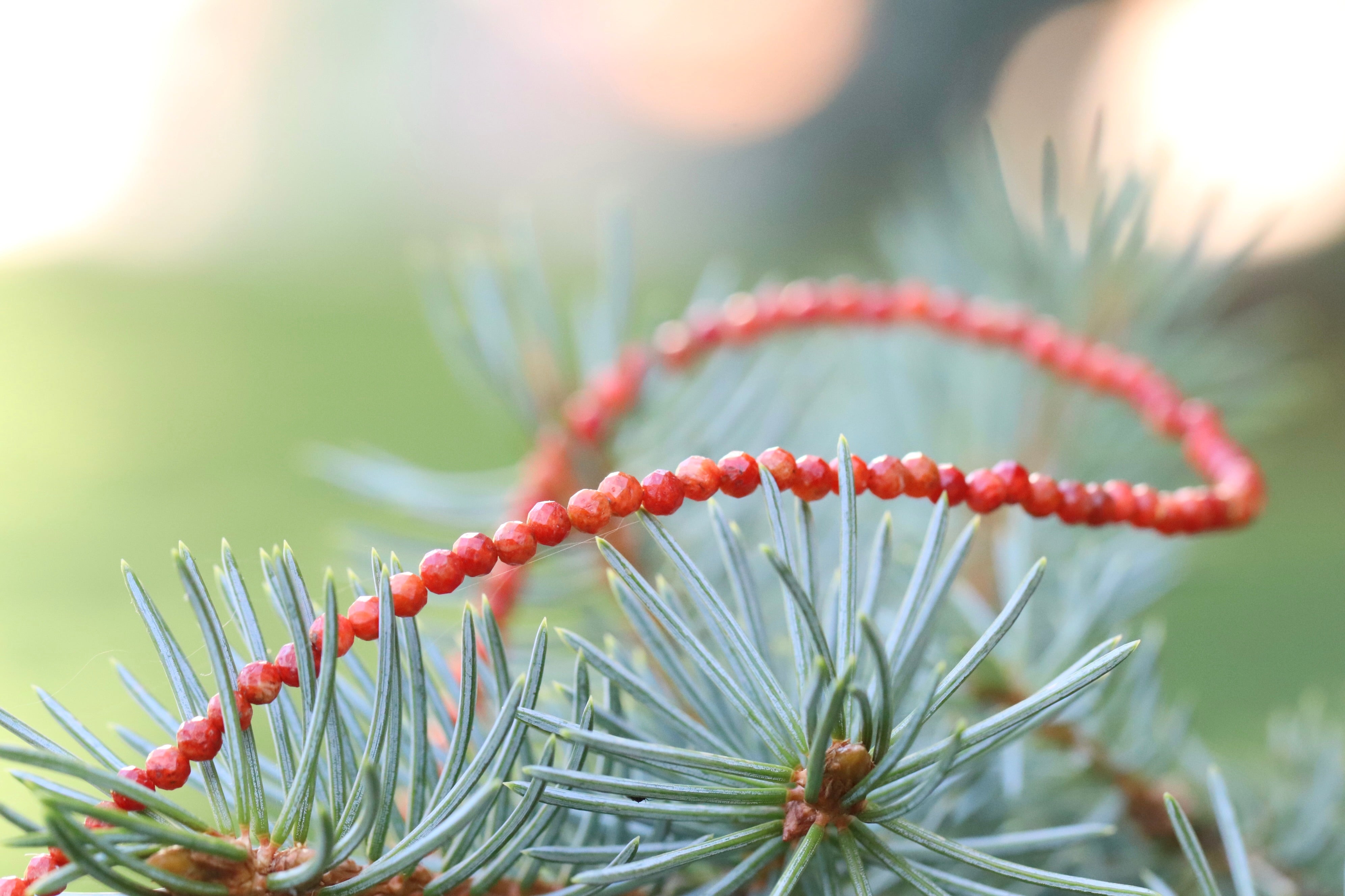 Minimalist 3mm Red Coral beaded necklace